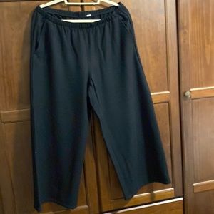 Eileen Fisher boiled wool wide leg cropped plants